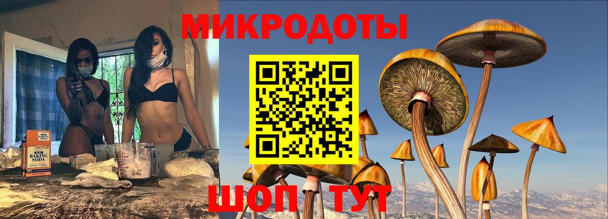 Псилоцибиновые грибы Psilocybe  Галлюциногенные грибы Cubensis  Коммунар  Вход с VPN 